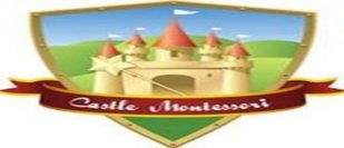 Castle Montessori of McKinney-McKinney-Texas